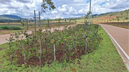 Lote/Terreno à venda, 857m² no Alphaville - Lagoa dos Ingleses, Nova Lima