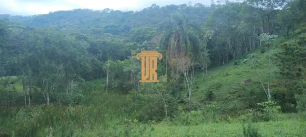 Fazenda/Sítio com 1 Quarto à venda, 36000m² no Centro, Monteiro Lobato