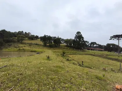 Fazenda/Sítio com 3 Quartos à venda, 723754m² no Borda do Campo, Quatro Barras
