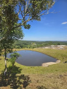 Fazenda/Sítio com 1 Quarto à venda, 21000m² no Balsa Nova, Balsa Nova