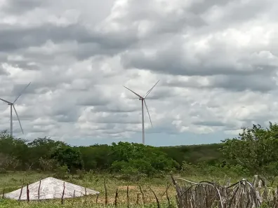 Fazenda/Sítio com 5 Quartos à venda, 7700000m² no , Pedro Avelino