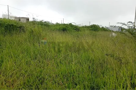 Lote/Terreno à venda, 200m² no Santo Antônio, Garanhuns