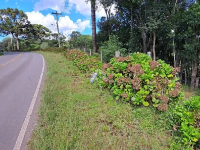 Fazenda/Sítio à venda, 20000m² no Área Rural de Farroupilha, Farroupilha