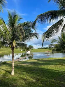 Fazenda/Sítio à venda, 3960000m² no , Novo Airão