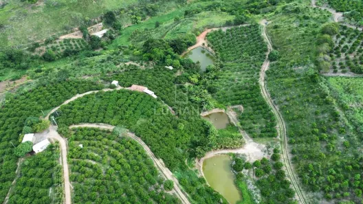 Fazenda/Sítio à venda, 81000m² no , Chã Grande