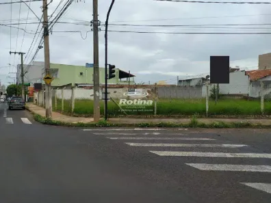 Lote/Terreno para alugar, 650m² no Vigilato Pereira, Uberlândia