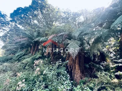 Lote/Terreno à venda, 750m² no Centro, São Francisco de Paula