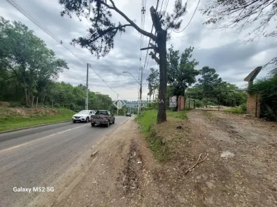 Lote/Terreno com 1 Quarto à venda, 80000m² no Lomba do Pinheiro, Porto Alegre