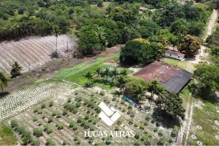 Fazenda/Sítio à venda, 160000m² no Jardim Recreio, Conde