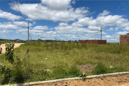Lote/Terreno à venda, 200m² no São João PE 177, São João