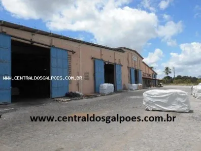 Galpão/Depósito/Armazém à venda, 7000m² no Parque Verde, Alagoinhas