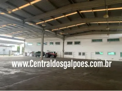 Galpão/Depósito/Armazém para alugar, 4000m² no Aviário, Feira de Santana