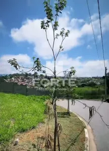 Lote/Terreno à venda, 315m² no Cézar de Souza, Mogi das Cruzes