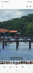 Fazenda/Sítio com 5 Quartos à venda, 250m² no , Campo Florido