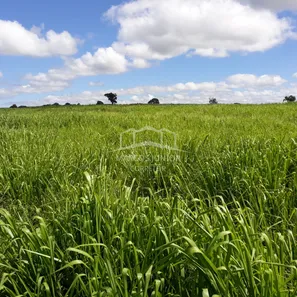 Fazenda/Sítio com 3 Quartos à venda, 6000000m² no , São João da Ponte