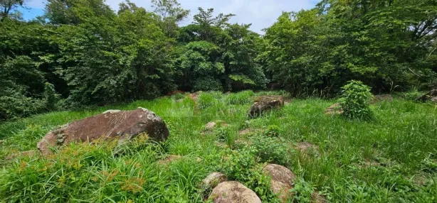 Lote/Terreno à venda, 3118m² no , Ilhabela