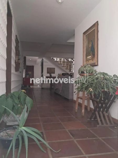 Foto 59