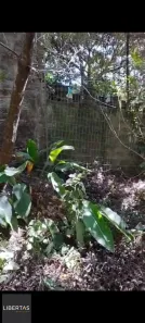Fazenda/Sítio à venda, 1m² no Lageado, Porto Alegre