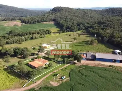 Fazenda/Sítio à venda, 500m² no , São Francisco de Goiás
