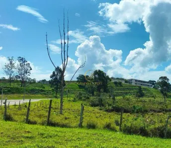Lote/Terreno à venda, 29138m² no Parque Santos Dumont, São José dos Campos