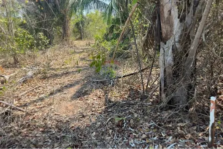 Fazenda/Sítio com 1 Quarto à venda, 1200m² no Área Rural de Rondonópolis, Rondonópolis