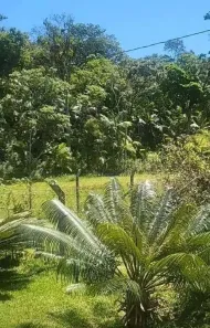 Lote/Terreno à venda, 7500m² no Santa Rita do Ribeira, Miracatu