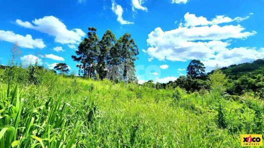 Fazenda/Sítio com 1 Quarto à venda, 5000m² no Pinhal Alto, Nova Petrópolis
