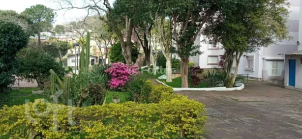 Apartamento com 4 Quartos à venda, 77m² no Teresópolis, Porto Alegre