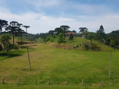 Fazenda/Sítio com 3 Quartos à venda, 436m² no Laranjeiras, Campo Alegre