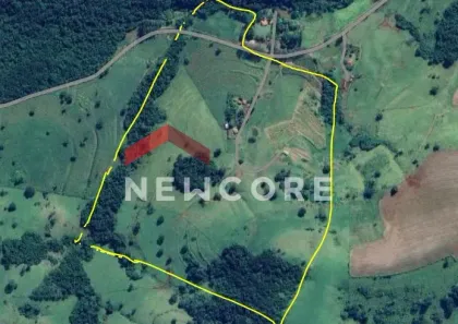 Fazenda/Sítio com 3 Quartos à venda, 100m² no Selva, Londrina