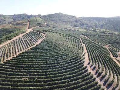 Fazenda/Sítio com 10 Quartos à venda, 406m² no Centro, Caconde