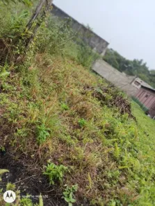 Lote/Terreno à venda, 156m² no , Itanhaém