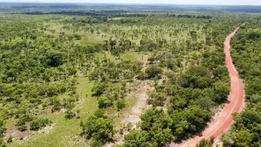 Fazenda/Sítio à venda, 11035200m² no Plano Diretor Sul, Palmas
