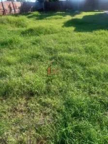 Lote/Terreno à venda, 125m² no Chácaras Azaléias, Presidente Prudente