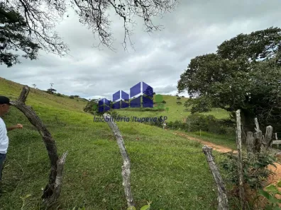 Fazenda/Sítio com 1 Quarto à venda, 400000m² no Centro, Conceição do Rio Verde