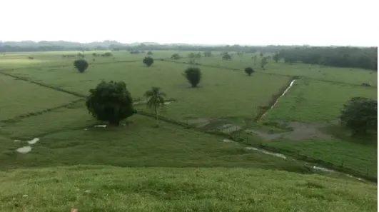 Fazenda/Sítio com 10 Quartos à venda, 4235000m² no , Registro