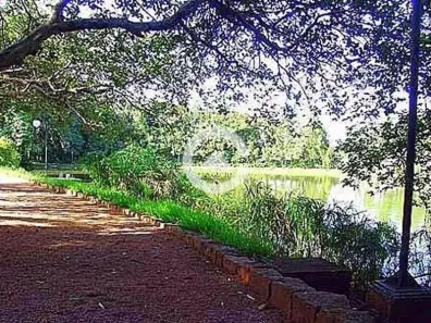Lote/Terreno à venda, 1160m² no Vila Hollândia, Campinas