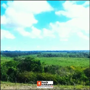 Fazenda/Sítio à venda, 756250m² no Centro, Cumbe