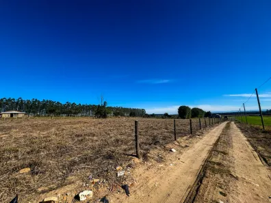 Lote/Terreno à venda, 5455m² no Morro dos Conventos, Araranguá