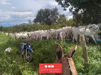 Fazenda/Sítio com 13 Quartos à venda, 29596600m² no , Peixe