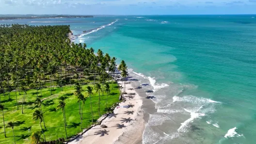 Apartamento com 1 Quarto à venda, 24m² no , Tamandaré
