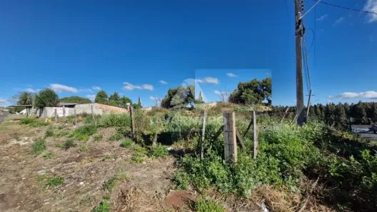 para alugar, 1780m² no Colônia Dona Luíza, Ponta Grossa
