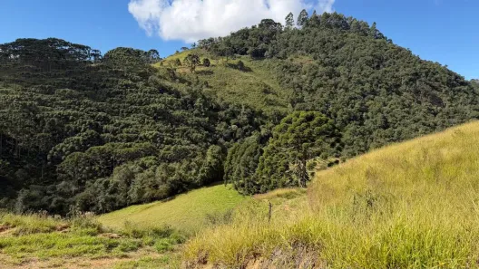 Lote/Terreno à venda, 22000m² no , Gonçalves