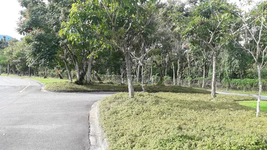 Casa de Condomínio com 5 Quartos à venda, 500m² no Bracuí (Cunhambebe), Angra dos Reis