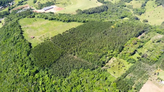 Galpão/Depósito/Armazém à venda, 88743m² no Palmares, Ivoti