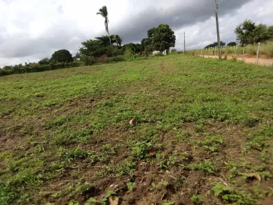 Fazenda/Sítio à venda, 232925m² no Canaã, Arapiraca