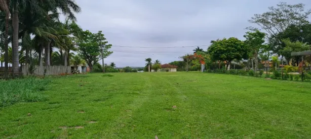 Lote/Terreno à venda, 1250m² no , Sertaneja