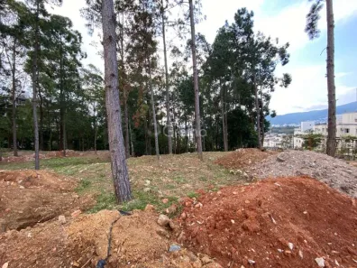 Lote/Terreno à venda, 1500m² no Pantanal, Florianópolis