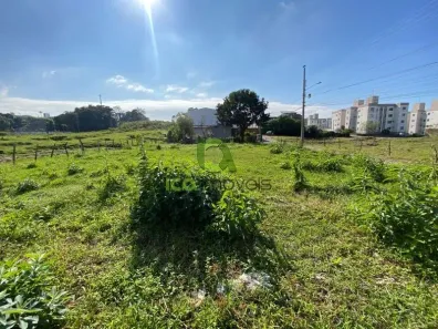 Lote/Terreno para alugar, 693m² no Serraria, São José