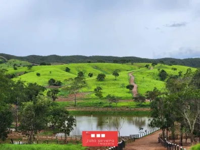 Fazenda/Sítio à venda, 5953200m² no , Pirenópolis